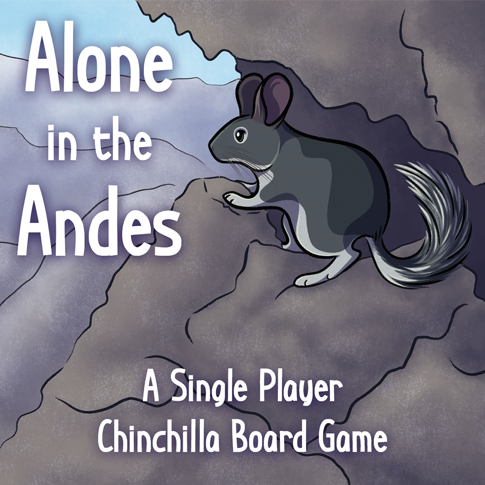Alone in the Andes