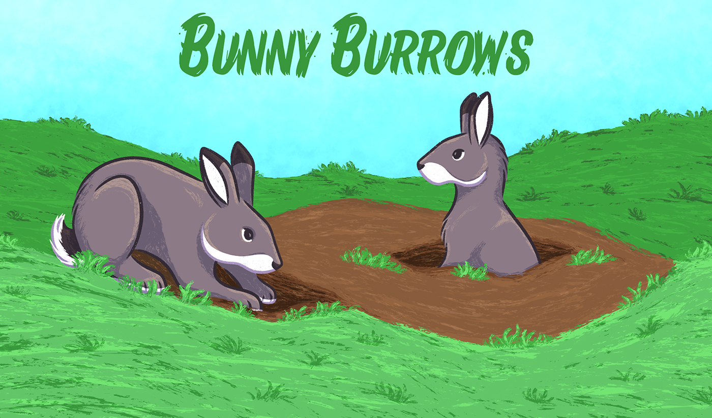 Bunny Burrows Box Front