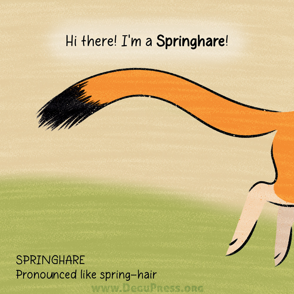 Springhare Makes Some Friends Page 1